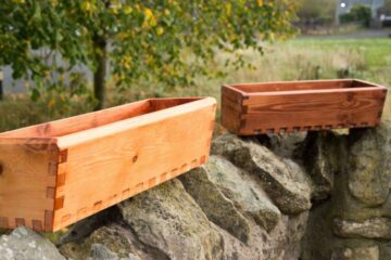 Mark's window boxes