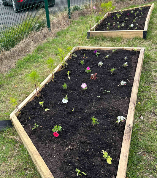 Brian raised beds-2