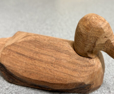 Ed duck Ed duck