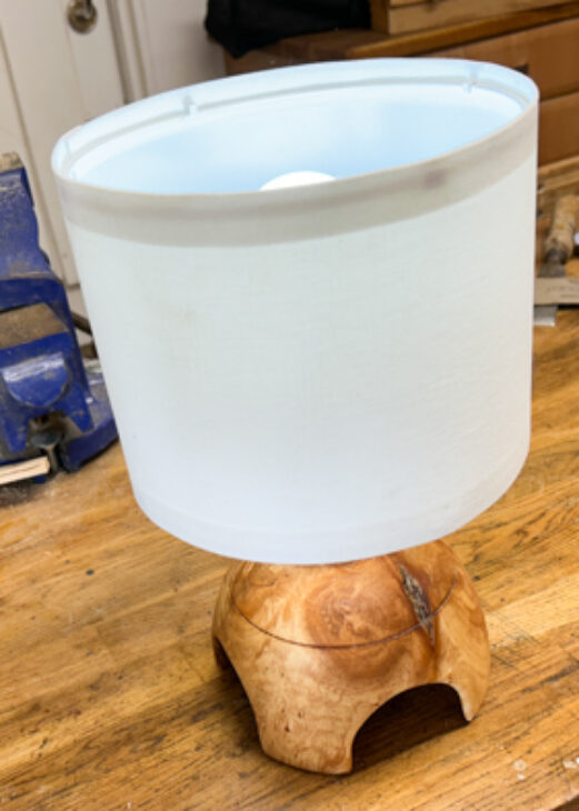 Peter Hawthorne lamp