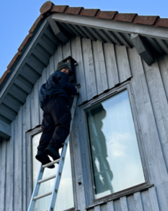 Brian putting up Bat box