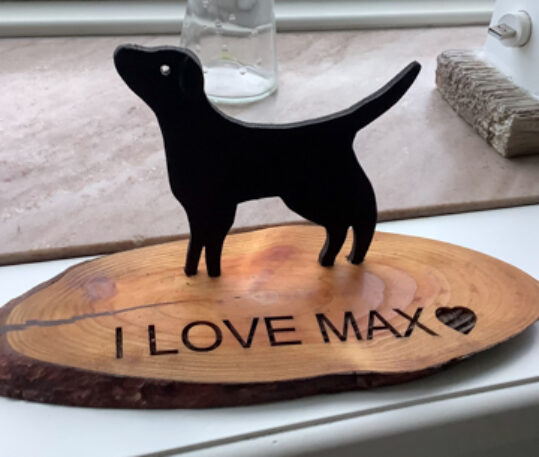 KeithS I loveMax