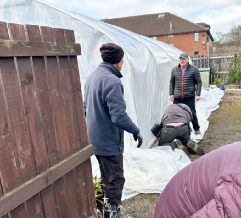 polytunnel3