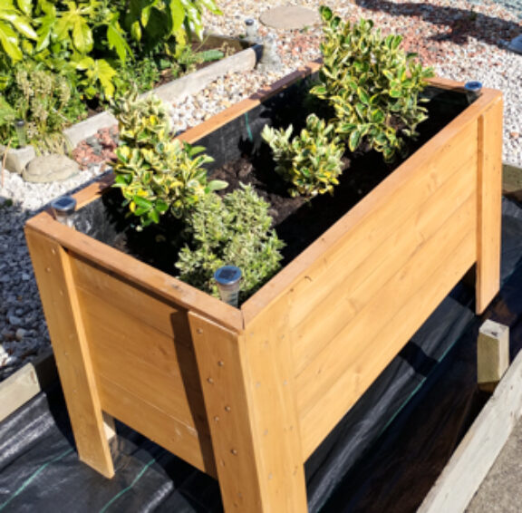 Katrina planter
